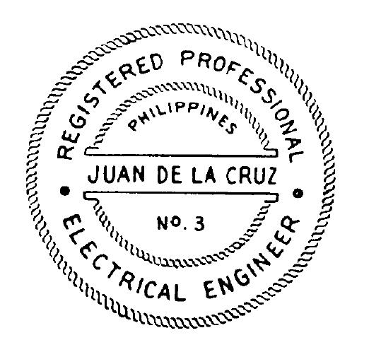 professional electrical engineer